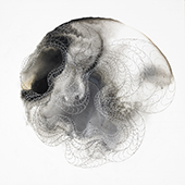 shell5